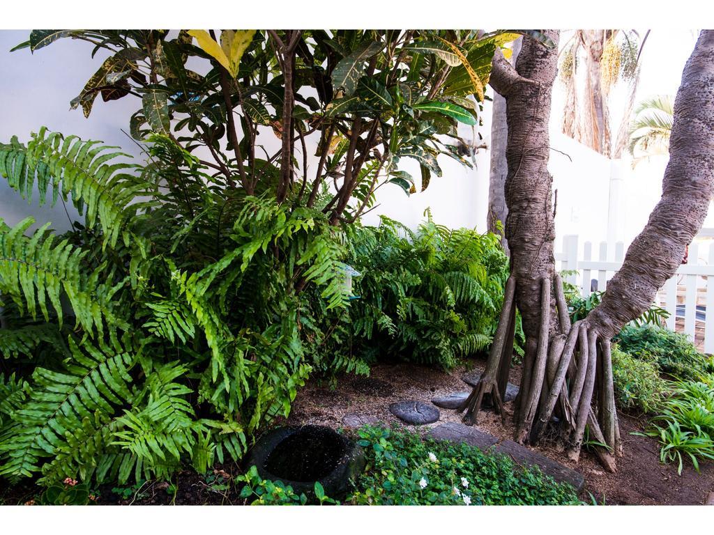 Flamingo Rocks Bed & Breakfast Durban Exterior foto